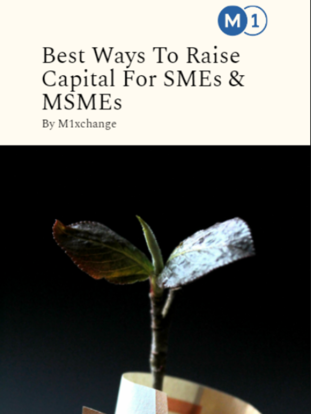 Best Ways To Raise Capital For SME & MSME